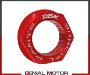�t�����g �z�C�[�� �i�b�g ���b�h DBK Moto Guzzi Stelvio PFF ���C�_�[ �A�V�X�^���X �\�����[�V���� 2024 Front Wheel Nut Red Dbk Moto Guzzi Stelvio Pff Rider Assistance Solution 2024 �y���s�A���i�z