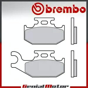 Au{ SD u[LCjO}n YFM R RAPTOR  700 2006 - 2008- Rear Brembo SD brake lining for Yamaha YFM R RAPTOR left 700 2006 - 2008-