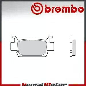 ���A Brembo SD �u���[�L�p�b�h Honda TRX XX 700 2008 - 2010 �p Rear Brembo SD Brake Pads for Honda TRX XX 700 2008 - 2010 �y���s�A���i�z