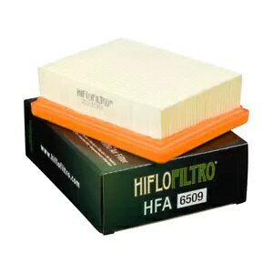 gCAt 900 Xg[gJbv 2016 - 2019 T2201057 HFA6509 HIFLOFILTRO GAtB^[ɓKB FITS TRIUMPH 900 STREET CUP 2016 - 2019 T2201057 HFA6509 HIFLOFILTRO AIR FILTER
