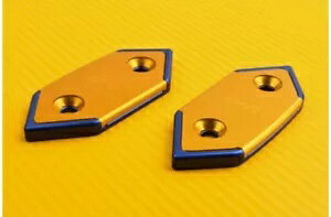 ~[ g S[h u[ 40mm Kawasaki ZX6R ZX-6R 2005-2006 f 2- Mirror Trims Gold Blue 40mm Kawasaki ZX6R ZX-6R 2005-2006 Model 2-