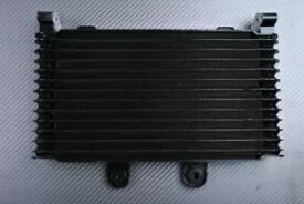 交換用オイルラジエーター冷却スズキ GSF 1200S バンディット 1200 S GV75 1997-2000 Replacement Oil Radiator Cooling SUZUKI GSF 1200S BANDIT 1200 S GV75 1997-2000 【並行輸入品】