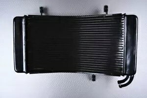 pWG[^[p OEM X^C DUCATI SBK 748 H3 1998-2002 Replacement Water Radiator Cooling OEM Style DUCATI SBK 748 H3 1998-2002