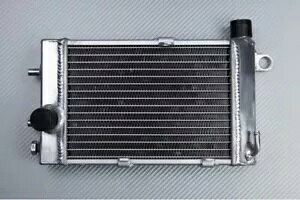 �E���[�V���O�E�H�[�^�[���W�G�[�^�[��p APRILIA RSV1000R RSV 1000 R RP 2001-2003 Right Racing Water Radiator Cooling APRILIA RSV1000R RSV 1000 R RP 2001-2003 �y���s�A���i�z