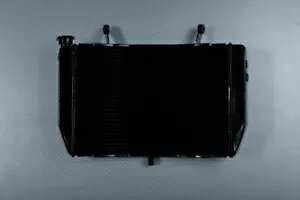 �����p�����W�G�[�^�[��p OEM �X�^�C�� ���}�n YZF R1 YZF-R1 2004-2006 Replacement Water Radiator Cooling OEM Style YAMAHA YZF R1 YZF-R1 2004-2006 �y���s�A���i�z