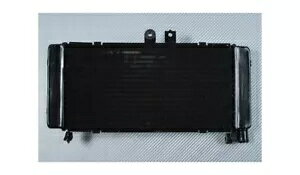 pWG[^[ EH[^[ N[[ OEM X^C z_ CB900 z[lbg CB 900 2002-2006 Replacement Radiator Water Cooler OEM Style HONDA CB900 Hornet CB 900 2002-2006
