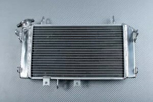 ���[�V���O�����p�����W�G�[�^�[��p�X�Y�L �O���f�B�E�X 650 SFV WVCX 2009-2016 Racing Replacement Water Radiator Cooling SUZUKI GLADIUS 650 SFV WVCX 2009-2016 �y���s�A���i�z