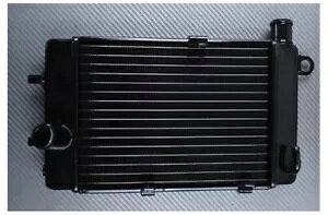 �E�����W�G�[�^�[��p OEM �X�^�C�� APRILIA RSV1000R RSV 1000 R RP 2001-2003 Right Water Radiator Cooling OEM Style APRILIA RSV1000R RSV 1000 R RP 2001-2003 �y���s�A���i�z