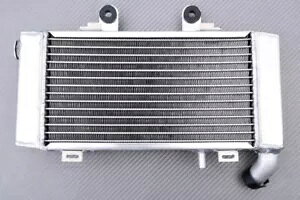  [VO EH[^[ WG[^[ z_ VFR 800 FI / C^[Zv^[ RC46/W 1998-2001 Left Racing Water Radiator HONDA VFR 800 FI / INTERCEPTOR RC46/W 1998-2001