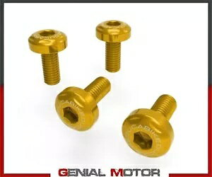 S[h }t[ Jo[ lW Lbg DUCABIKE Ducati DesertX 2022 Gold Muffler Cover Screws Kit DUCABIKE Ducati DesertX 2022