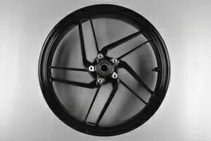 �h�D�J�e�B �p�j�K�[�� 959 2015-2019 �u���b�N �t�����g�T�[�N�� 4.4kg- DUCATI PANIGALE 959 2015-2019 Black Front Circle 4.4kg- �y���s�A���i�z