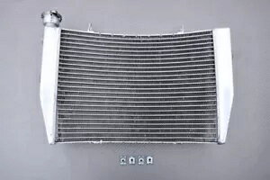 ���[�V���O�����p�����W�G�[�^�[��p MV AGUSTA F4 1000R / 1000RR 2011-2019 Racing Replacement Water Radiator Cooling MV AGUSTA F4 1000R / 1000RR 2011-2019 �y���s�A���i�z