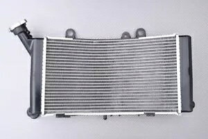 BMW F900 GSA / F 900GSA ADVENTURE 2024 `X^Cv EH[^[WG[^[` Genuine BMW F900 GSA / F 900GSA ADVENTURE 2024-X Type Water Radiator-