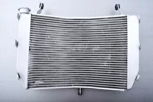�����p�����W�G�[�^�[��p OEM �X�^�C�� SUZUKI KATANA 1000 WDG0 2019-2022 Replacement Water Radiator Cooling OEM Style SUZUKI KATANA 1000 WDG0 2019-2022 �y���s�A���i�z