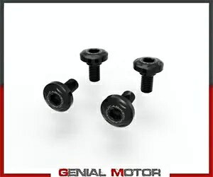 �u���b�N �X�C���O�A�[�� �X�N�����[ �L�b�g DUCABIKE Ducati DesertX 2022 Black Swingarm Screw Kit DUCABIKE Ducati DesertX 2022 �y���s�A���i�z