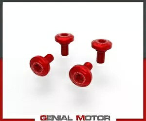 ���b�h �X�C���O�A�[�� �X�N�����[ �L�b�g DUCABIKE Ducati DesertX 2022 Red Swingarm Screw Kit DUCABIKE Ducati DesertX 2022 �y���s�A���i�z