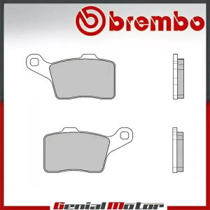 �t�����g Brembo 90 �u���[�L�p�b�h Can Am SKI-DOO EXPEDITION TUV HO SDI REV-XU 2009 2011 Front Brembo 90 Brake Pads can Am SKI-DOO EXPEDITION TUV HO SDI REV-XU 2009 2011 �y���s�A���i�z