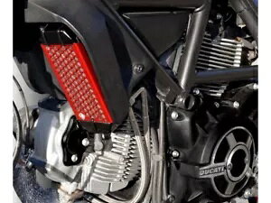 �h���C�o�[�ی샌�b�h Ducabike �t�@�[ Ducati �X�N�����u���[ �}�b�n 2.0 2017 - 2019 3A9- Driver protection red Ducabike fur Ducati scrambler Mach 2.0 2017 - 2019 3A9- �y���s�A���i�z