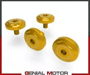�t�����g �f�B�t���N�^�[ �l�W DUCABIKE KVT02B �S�[���h Ducati MULTISTRADA V4/S 2021 2022 Front Deflector Screws DUCABIKE KVT02B GOLD Ducati MULTISTRADA V4/S 2021 2022 �y���s�A���i�z