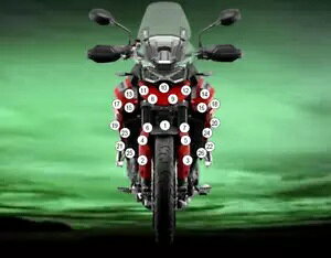 Eazi-Grip �X�g�[���`�b??�v�v���e�N�V�����L�b�g �N���A�O���X Triumph Tiger 900 & GT 20 - 24 Eazi-Grip Stone Chip Protection Kit Clear Gloss Triumph Tiger 900 & GT 20 - 24