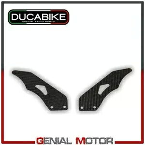 J[{ K[h pbZW[ RPPC07 Ducabike Ducati Multistrada 1100 2007 - 2009 Carbon Guards Passenger RPPC07 Ducabike Ducati Multistrada 1100 2007 - 2009