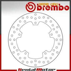 �u���[�L�f�B�X�N �Œ�u�����{�Z���G�I�����A Bmw S 1000 Rr 1000 2009 - 2012�p Brake Disc Fixed Brembo Serie Oro Rear for Bmw S 1000 Rr 1000 2009 - 2012 �y���s�A���i�z
