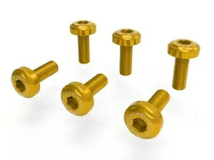 v[glWZbg S[h Ducabike fur Ducati Multistrada V4 2021 - 2023 6B2- Plate screw set gold Ducabike fur Ducati Multistrada V4 2021 - 2023 6B2-