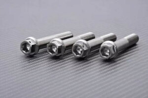 lW WA u[L Th `^ wbNXwbh TRIUMPH SPEEDTRIPLE 1050RS 09-20- Screws Radial Brake Saddles Titanium Hex Head TRIUMPH SPEEDTRIPLE 1050RS 09-20-