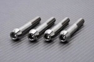 4 �l�W���W�A���u���[�L�T�h���`�^�� BTR �X�Y�L GSXR 1000 GSX-R 2007-2008- 4 Screws for Radial Brake Saddles Titanium BTR SUZUKI GSXR 1000 GSX-R 2007-2008- �y���s�A���i�z