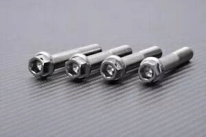 4 lWWAu[LTh`^Zpwbh TRIUMPH THRUXTON 1200 R 2016-19- 4 Screws Radial Brake Saddles Titanium Hex Head TRIUMPH THRUXTON 1200 R 2016-19-