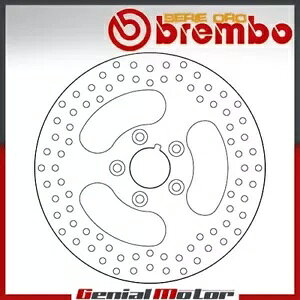 u[LfBXN Œu{ A n[[_rbh\ Fxds _Ci S OCh X| 1998 - 1999 Brake Disc Fixed Brembo Rear Harley Davidson Fxds Dyna S Glide Spor 1998 - 1999
