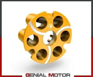 DUCABIKE S[h XvO vbV[ Ducati MONSTER 795 ABS CORSE STRIPE 2014 - 2015- DUCABIKE GOLD spring pusher for Ducati MONSTER 795 ABS CORSE STRIPE 2014 - 2015-