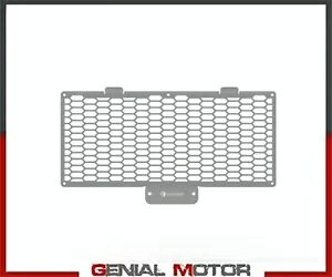 �V���o�[ H2O ���W�G�[�^�[ �K�[�h DUCABIKE Ducati StreetFighter V2 2022 Silver H2O Radiator Guard DUCABIKE Ducati StreetFighter V2 2022 �y���s�A���i�z