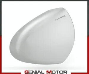 DUCABIKE SILVER Nb` GACe[N Ducati SUPER LIGHT V4 998 2020 2021- DUCABIKE SILVER dry clutch air intake Ducati SUPER LIGHT V4 998 2020 2021-