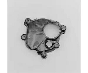 LIGHTECH J[{sbNAbvJo[ CARH2118 z_ CBR 1000 RR-R 2020 - 2022- LIGHTECH Carbon Pickup Cover CARH2118 for Honda CBR 1000 RR-R 2020 - 2022-