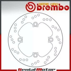 u[LfBXNŒu{V[YIAz_WY 250 2000 - 2004- Brake disc fixed Brembo series Oro rear for Honda Jazz 250 2000 - 2004-