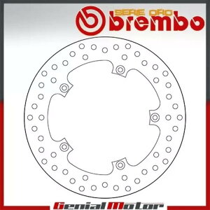 u[LfBXNŒu{ZGIApvW[WI Rs 250 2006 - 2008 Brake Disc Fixed Brembo Serie Oro Rear for Peugeot Geo Rs 250 2006 - 2008