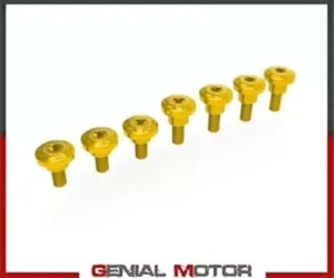 �S�[���h �t�F�A�����O �t���[�� �l�W �L�b�g DUCABIKE Ducati DesertX 2022 Gold Fairing Frame Screw Kit DUCABIKE Ducati DesertX 2022 �y���s�A���i�z
