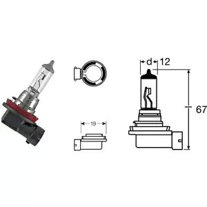 2010-2010 IX 12V 55W H11 n[[ 1250 Vrscaw V-bh v- 2010-2010 OSRAM 12V 55W H11 Harley 1250 Vrscaw V-Rod Lamp-
