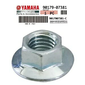 �i�b�g�w�b�h�G���W�� M7X1 �x�l�� 50 491 �� 1999-2001- Nut Head Engine M7X1 Benelli 50 491pcs 1999-2001-