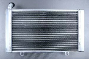 ���[�V���O�A���~�����W�G�[�^�[��p�z���_ CBF 1000 CBF1000 / S SC58 2006-2009 Racing Alu Water Radiator Cooling HONDA CBF 1000 CBF1000 / S SC58 2006-2009 �y���s�A���i�z