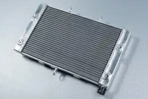 ���[�V���O�A���~�����W�G�[�^�[��p�z���_ CBF 1000 F CBF1000F SC64 2010-2015 Racing Aluminium Water Radiator Cooling HONDA CBF 1000 F CBF1000F SC64 2010-2015 �y���s�A���i�z