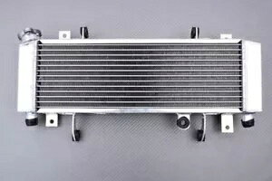 �A�b�p�[���[�V���O�����W�G�[�^�[��p�X�Y�L TL1000R TLR 1000 AM 1998-2003 Upper Racing Water Radiator Cooling SUZUKI TL1000R TLR 1000 AM 1998-2003 �y���s�A���i�z