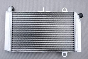 [VOA~WG[^[pz_Vo[EBO FJS 600 PF01 2001-2010 Racing Aluminium Water Radiator Cooling HONDA Silverwing FJS 600 PF01 2001-2010