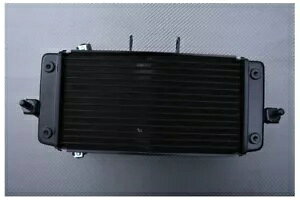 ����N�[���[ �����^�C�v SUZUKI DL VSTROM 250 V-STROM WDS0 2018-2020- Water cooler cooler original type SUZUKI DL VSTROM 250 V-STROM WDS0 2018-2020- �y���s�A���i�z