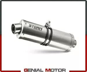 Exhaust Storm by Mivv }t[ I[o X`[ gCAt ^CK[ 800 2011 - 2014p Exhaust Storm by Mivv Muffler Oval Steel for Triumph Tiger 800 2011 - 2014
