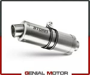 Exhaust Storm by Mivv }t[ I[o X`[ gCAt ^CK[ 1050 2007 - 2013p Exhaust Storm by Mivv Muffler Oval Steel for Triumph Tiger 1050 2007 - 2013