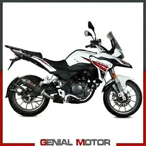 �r�C�}�t���[ Mivv �I�[�o�� �J�[�{�� Benelli Trk 251 2019 - 2020 Exhaust Muffler Mivv Oval Carbon Benelli Trk 251 2019 - 2020 �y���s�A���i�z