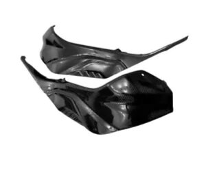 �f���炵���G���W���c�C������J�[�{���T�C�h�p�[�c BMW S 1000 RR 2018 - 2022-�p Awesome Engine Twill Glossy Carbon Side Parts for BMW S 1000 RR 2018 - 2022-