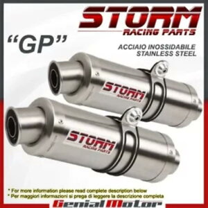 �r�C�X�g�[�� by Mivv �}�t���[ GP �X�`�[�� �A�v�����A �g�D�I�[�m �t�@�C�^�[ 1000 2006 06 Exhaust Storm by Mivv Mufflers Gp Steel Aprilia Tuono Fighter 1000 2006 06 �y���s�A���i�z